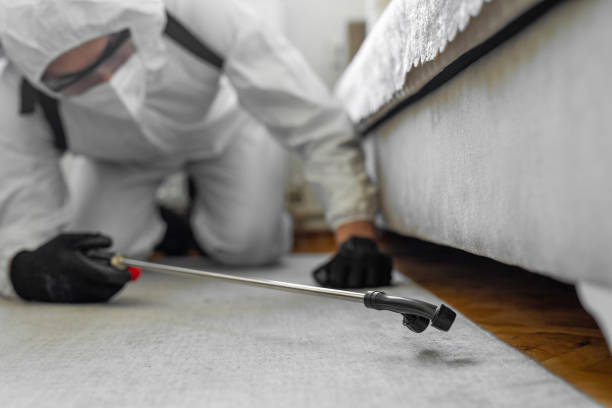 Professional Pest Control technician working in Orlando, FL