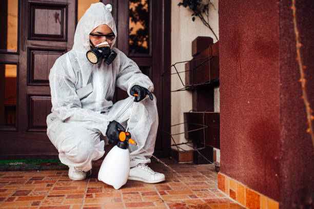 Reliable Bed Bug Control contractor in Orlando, FL by Nex Pest Control