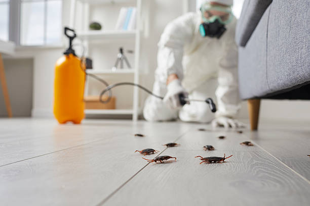 Trusted Termite Control service in Orlando, FL - Nex Pest Control