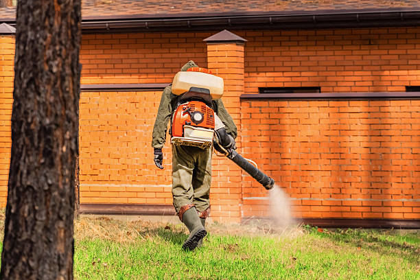 Trusted Cockroach Control service in Orlando, FL - Nex Pest Control
